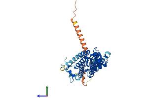 AlphaFold protein structure predicition of Human Recombinant TECRL Protein, UniprotID Q5HYJ1