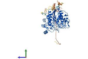 AlphaFold protein structure predicition of Mouse Recombinant Hdac2 Protein, UniprotID P70288