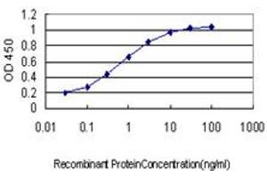 Detection limit for recombinant GST tagged GPR84 is approximately 0. (GPR84 anticorps  (AA 208-316))