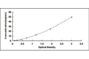 Typical standard curve (PLAC9 Kit ELISA)