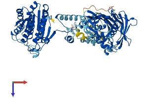 AlphaFold protein structure predicition of Human Recombinant HSD17B4 Protein, UniprotID P51659