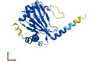 AlphaFold protein structure predicition of Human Recombinant EGLN3 Protein, UniprotID Q9H6Z9
