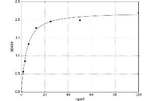 A typical standard curve (DBH Kit ELISA)