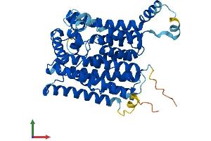 AlphaFold protein structure predicition of Mouse Recombinant Pigm Protein, UniprotID Q8C2R7