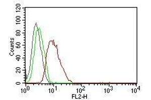 Flow Cytometric analysis of human Cyclin D1 on MCF-7 cells. (Cyclin D1 anticorps  (PE))