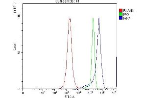 Flow Cytometry analysis of JK cells using anti-IRF7 antibody (ABIN7601022). (IRF7 anticorps  (AA 27-503))