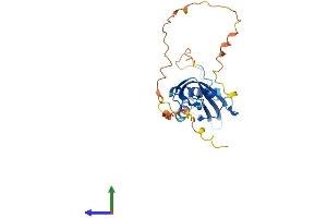 AlphaFold protein structure predicition of Mouse Recombinant Rtp4 Protein, UniprotID Q9ER80