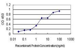 Detection limit for recombinant GST tagged USP33 is approximately 0.