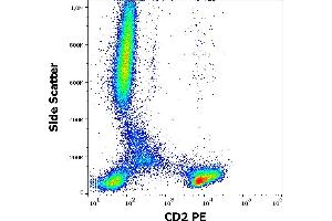 Flow cytometry surface staining pattern of human peripheral whole blood stained using anti-human CD2 (LT2) PE antibody (20 μL reagent / 100 μL of peripheral whole blood). (CD2 anticorps  (PE))