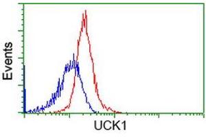 Flow cytometric Analysis of Hela cells, using anti-UCK1 antibody (ABIN2453770), (Red), compared to a nonspecific negative control antibody (ABIN2453770), (Blue).
