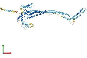 AlphaFold protein structure predicition of Mouse Recombinant Dcst1 Protein, UniprotID Q059Y8