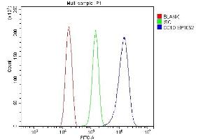 Flow Cytometry analysis of U20S cells using anti-CD1D antibody (ABIN7600538). (CD1d anticorps  (AA 20-295))
