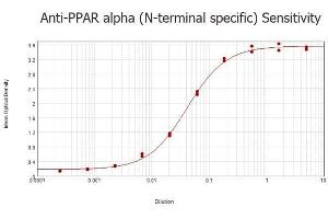 ELISA results of purified Rabbit anti-PPAR Alpha (N-terminal specific) Antibody tested against BSA-conjugated peptide of immunizing peptide. (PPARA anticorps  (N-Term))
