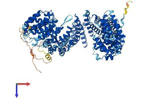 AlphaFold protein structure predicition of Mouse Recombinant Tbcd Protein, UniprotID Q8BYA0