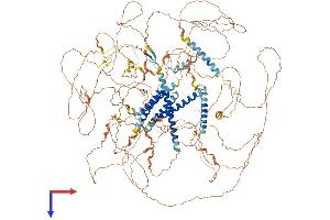 AlphaFold protein structure predicition of Human Recombinant AKNA Protein, UniprotID Q7Z591