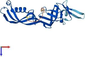 AlphaFold protein structure predicition of Human Recombinant POLR3H Protein, UniprotID Q9Y535