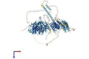 AlphaFold protein structure predicition of Human Recombinant MYBBP1A Protein, UniprotID Q9BQG0