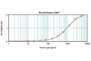 Image no. 1 for anti-Tumor Necrosis Factor (Ligand) Superfamily, Member 14 (TNFSF14) antibody (ABIN465434) (TNFSF14 anticorps)