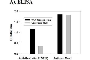 Image no. 2 for Mitogen-Activated Protein Kinase Kinase 1 (MAP2K1) ELISA Kit (ABIN1981803) (MEK1 Kit ELISA)