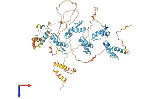 AlphaFold protein structure predicition of Human Recombinant ZNF333 Protein, UniprotID Q96JL9