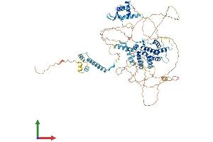 AlphaFold protein structure predicition of Mouse Recombinant Depdc1a Protein, UniprotID Q8CIG0