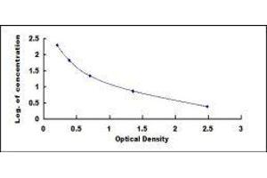 ELISA image for Angiotensin 1-9 (Ang1-9) ELISA Kit (ABIN1117992)