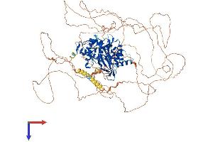 AlphaFold protein structure predicition of Mouse Recombinant Usp53 Protein, UniprotID P15975