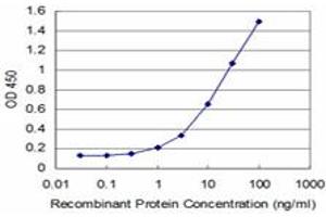 Detection limit for recombinant GST tagged MEF2A is approximately 1ng/ml as a capture antibody. (MEF2A anticorps  (AA 71-170))