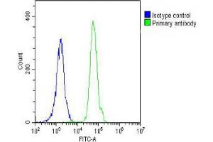 Overlay histogram showing Jurkat cells stained with (ABIN390474 and ABIN2840840) (green line).