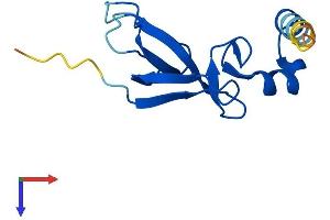 AlphaFold protein structure predicition of Mouse Recombinant Cdpf1 Protein, UniprotID Q8R3A2