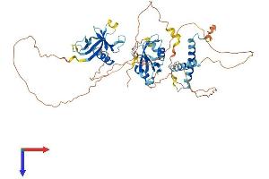 AlphaFold protein structure predicition of Human Recombinant SH2B3 Protein, UniprotID Q9UQQ2