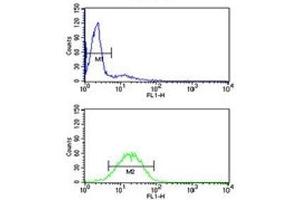 VDAC1 antibody flow cytometry analysis of HL-60 cells (green) compared to a negative control (blue).