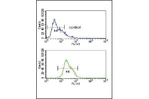ADH1C Antibody (Center) (ABIN651725 and ABIN2840376) flow cytometric analysis of CEM cells (bottom histogram) compared to a negative control cell (top histogram).