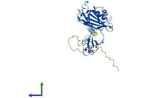 AlphaFold protein structure predicition of Mouse Recombinant Cgrrf1 Protein, UniprotID Q8BMJ7