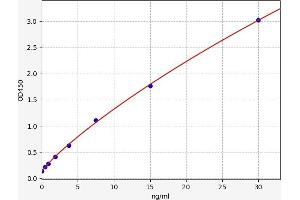 Typical standard curve (SLC2A13 Kit ELISA)