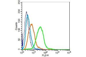 Raji cells probed with 	BCMA/CD269 Polyclonal Antibody, Unconjugated  at 1:50 for 30 minutes followed by incubation with a conjugated secondary (PE Conjugated) (green) for 30 minutes compared to control cells (blue), secondary only (light blue) and isotype control (orange).