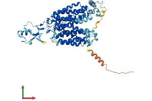 AlphaFold protein structure predicition of Mouse Recombinant Slc22a5 Protein, UniprotID Q9Z0E8