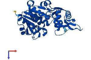 AlphaFold protein structure predicition of Human Recombinant NMRAL1 Protein, UniprotID Q9HBL8