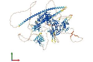 AlphaFold protein structure predicition of Mouse Recombinant Plekhh1 Protein, UniprotID Q80TI1