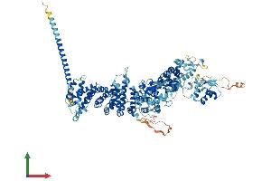 AlphaFold protein structure predicition of Human Recombinant UBE3B Protein, UniprotID Q7Z3V4