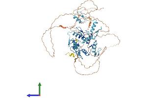 AlphaFold protein structure predicition of Human Recombinant CTCFL Protein, UniprotID Q8NI51