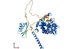 AlphaFold protein structure predicition of Human Recombinant TPH2 Protein, UniprotID Q8IWU9