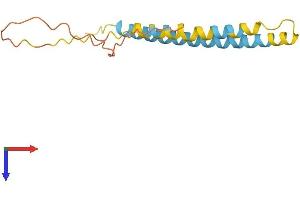 AlphaFold protein structure predicition of Mouse Recombinant Ifitm2 Protein, UniprotID Q99J93