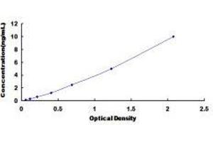 Retinoid X Receptor, alpha (RXRA) ELISA Kit