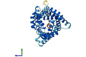 AlphaFold protein structure predicition of Mouse Recombinant Slc25a16 Protein, UniprotID Q8C0K5