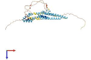 AlphaFold protein structure predicition of Human Recombinant ARC Protein, UniprotID Q7LC44