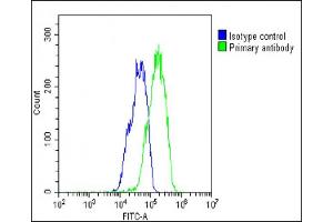 Overlay histogram showing HepG2 cells stained with (ABIN657553 and ABIN2846564)(green line).