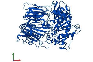 AlphaFold protein structure predicition of Mouse Recombinant Prep Protein, UniprotID Q9QUR6