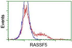 Image no. 1 for anti-Ras Association (RalGDS/AF-6) Domain Family Member 5 (RASSF5) antibody (ABIN1500614) (RASSF5 anticorps)