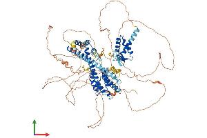 AlphaFold protein structure predicition of Mouse Recombinant Rfx6 Protein, UniprotID Q8C7R7